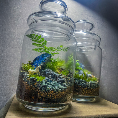 1月の苔テラリウムワークショップ｜青い鉱石のテラリウム｜木曜は雨音の森へ。