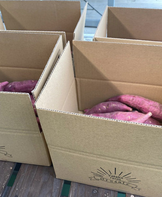 【さつまいも掘り体験】安全安心の自然農法で大切育てた芋掘りを大自然の中で楽しんでください