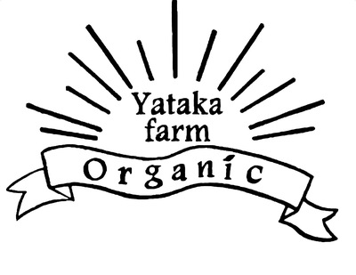 【さつまいも掘り体験】安全安心の自然農法で大切育てた芋掘りを大自然の中で楽しんでください