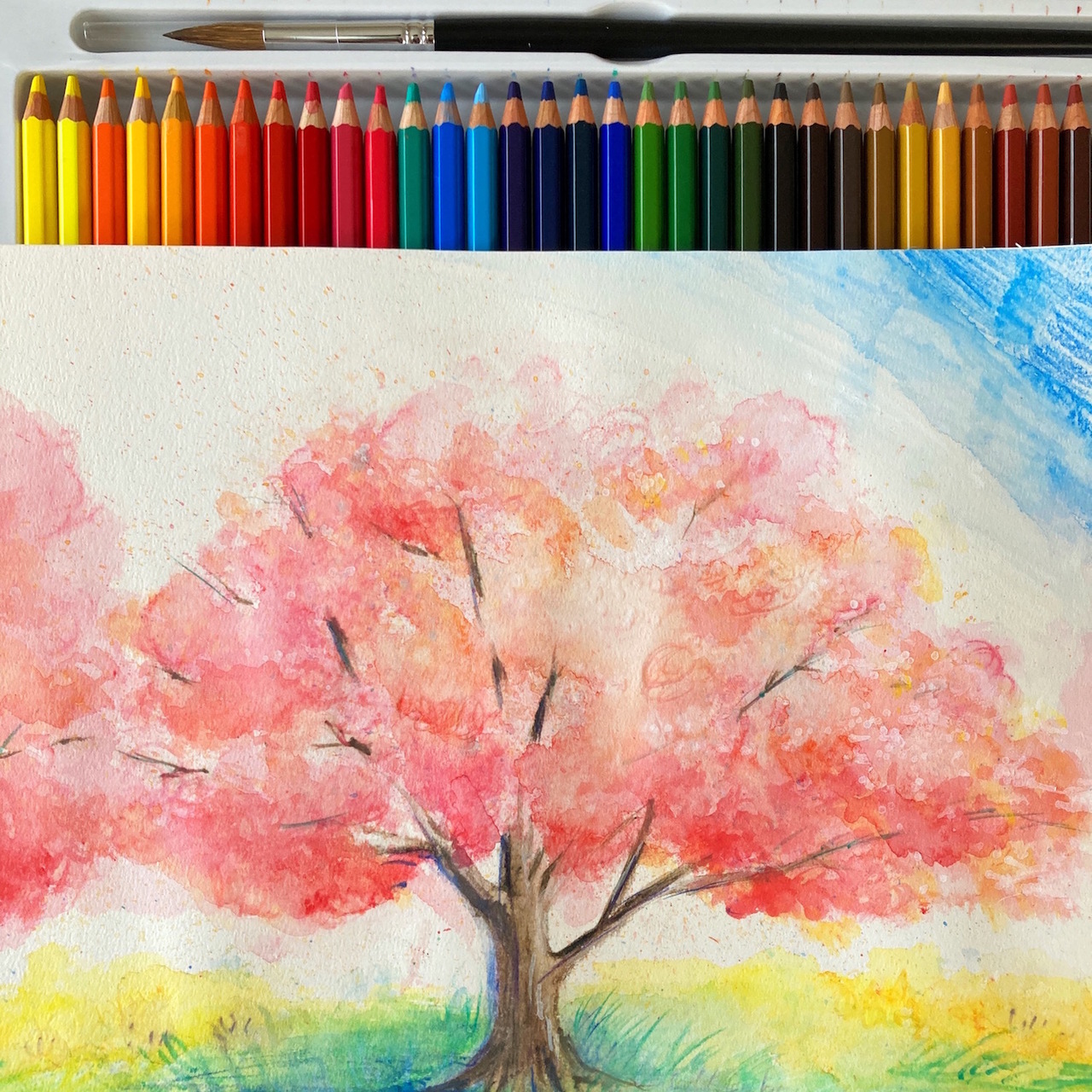[atelier LIVING ART] 水彩色鉛筆でやさしい桜を描こう
