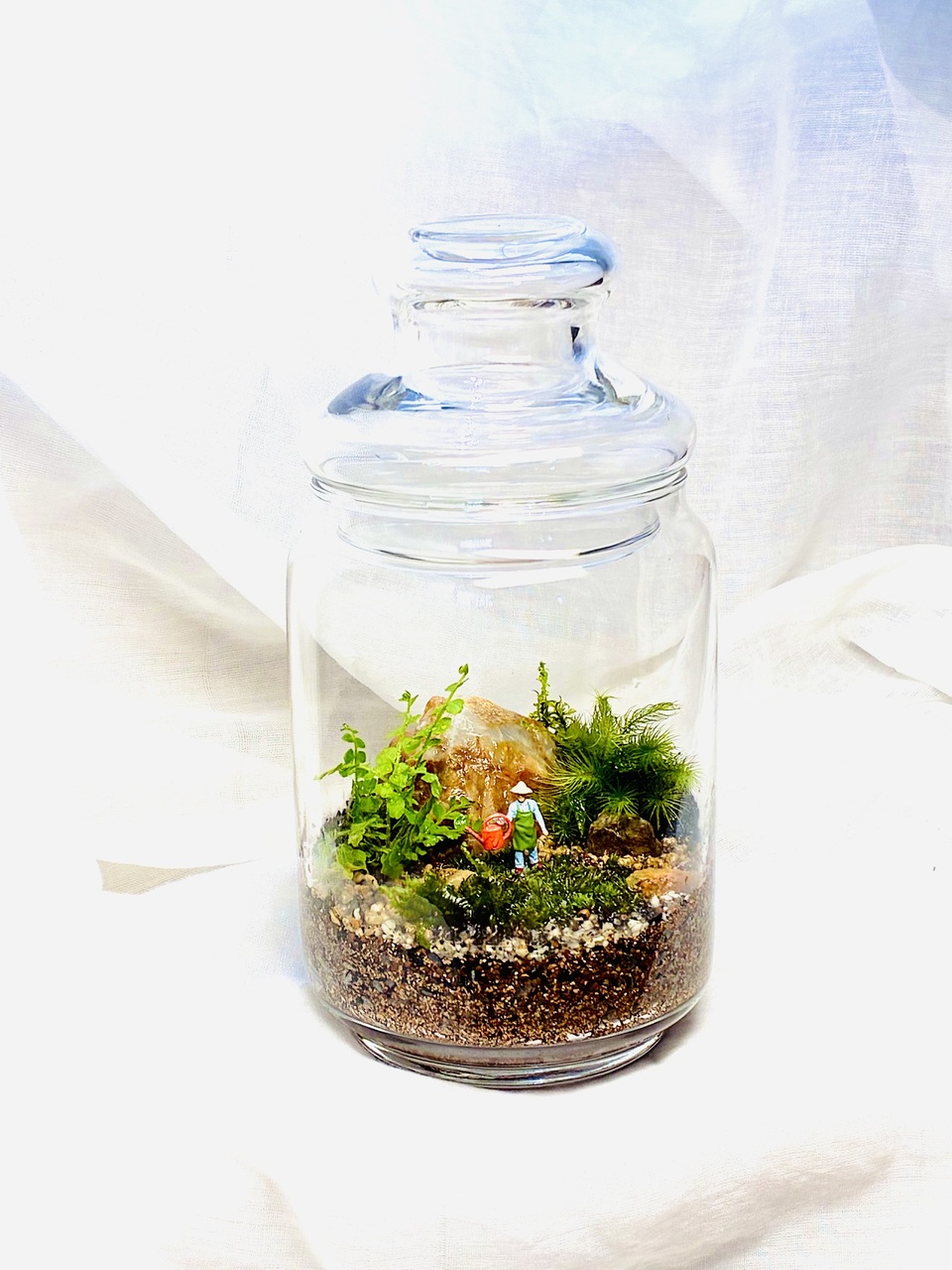 【garage豊橋】小さな森の景色〜苔とシダのテラリウム〜【メグリナ】