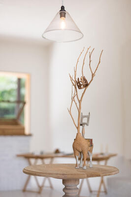 【４/11(土)18：30～】日果音楽室～chima、静かな春の生音コンサート～