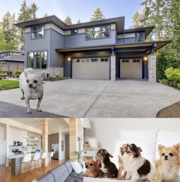 お問い合わせご予約はこちらをクリック！