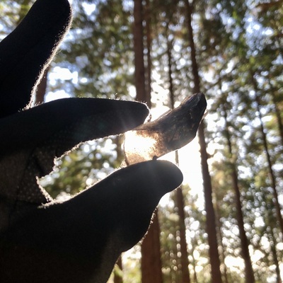 コース番号6131　信越6つの日本遺産でたどる縄文ロマン旅 3日間