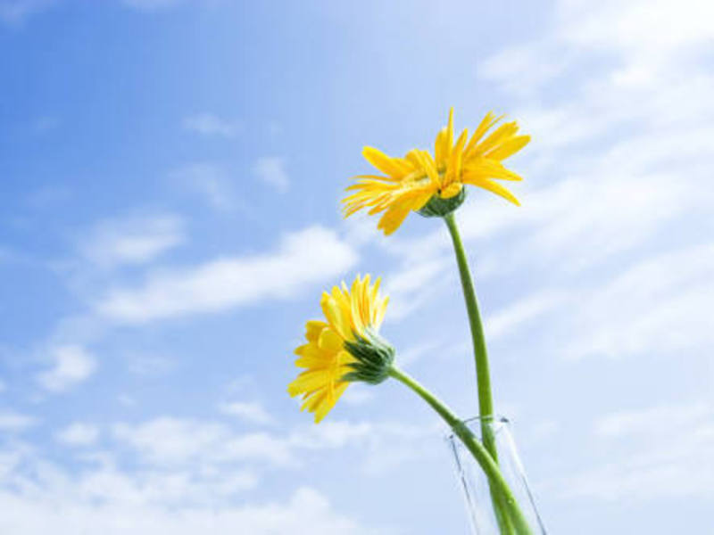 12月13日（土）.12月28日（日）背骨を全方向に動かすベーシックピラティス（指導 福士幸子）🔰🆗