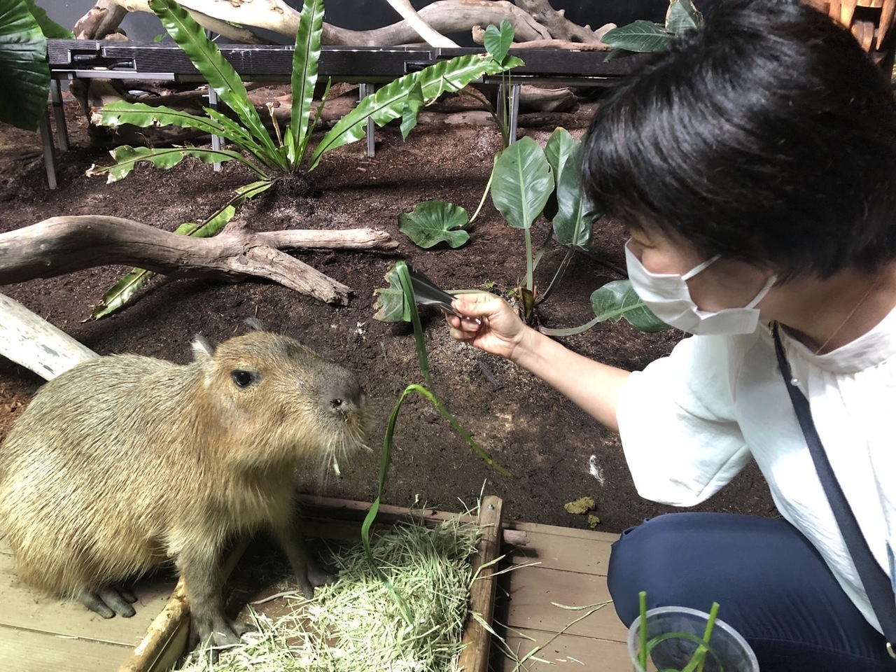 おはなしDAY　はせまな
