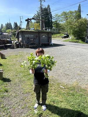 「Moi Moi NChaNaUYu」（モイモイ ンチャナウユ）