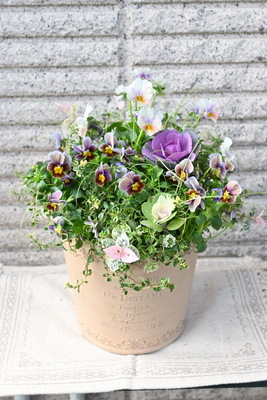 花ころんの寄せ植えギャザリング1DAYレッスン