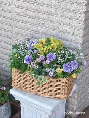 花ころんの寄せ植えギャザリング1DAYレッスン