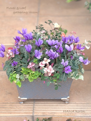 花ころんの寄せ植えギャザリング1DAYレッスン