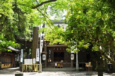 4/26（日）宇宙が動く日、あなたも動く！天王星双子座イングレス × 豊川稲荷正式参拝会