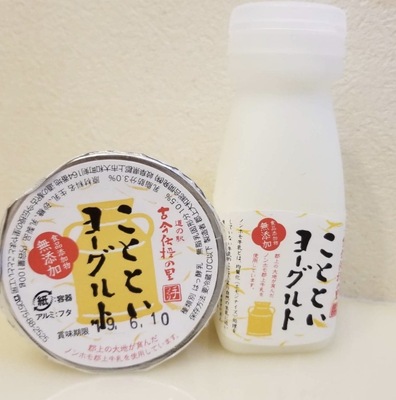 6/28(日)【岐阜県】リバーサイド周遊じゃんけんライド DAY2　2026