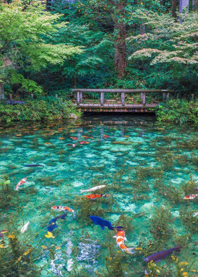 6/27(土）【岐阜県】モネの池じゃんけんライド　DAY1