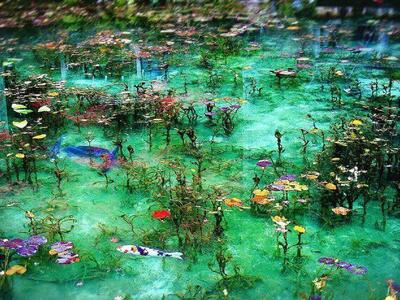 6/27(土）【岐阜県】モネの池じゃんけんライド　DAY1