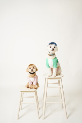 【ご予約はこちら】セルフ写真館 オレオとベイク