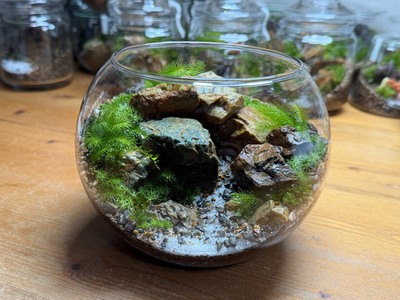 【グリーンテラスマツイ　3月開催】ボール型ガラス容器Mサイズ（15㎝）でつくれる苔テラリウム