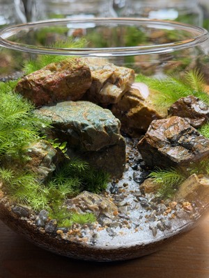 【グリーンテラスマツイ　3月開催】ボール型ガラス容器Mサイズ（15㎝）でつくれる苔テラリウム