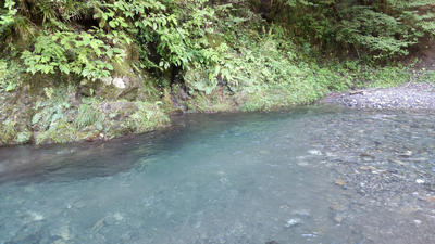 [平日のご予約]【東京：北秋川自然休暇村】北秋川の清流で非日常テントサウナ体験！夏でも涼しい