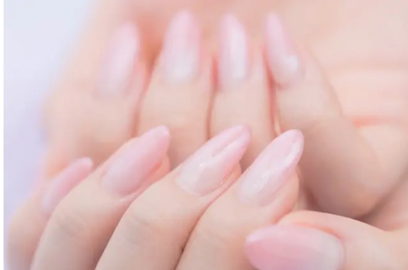 初回の方はゲスト予約からお願いします。