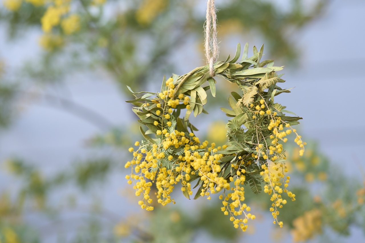 ＼4/4（土）／ミモザのリースづくり