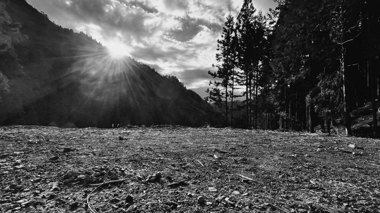 【ビジター】キャンプ利用