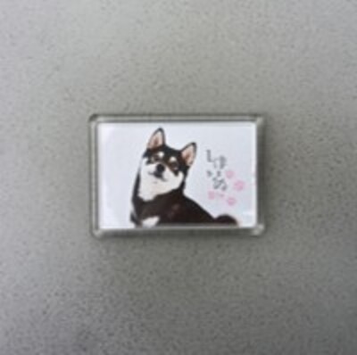 Myシリーズ「キーホルダー（中）」