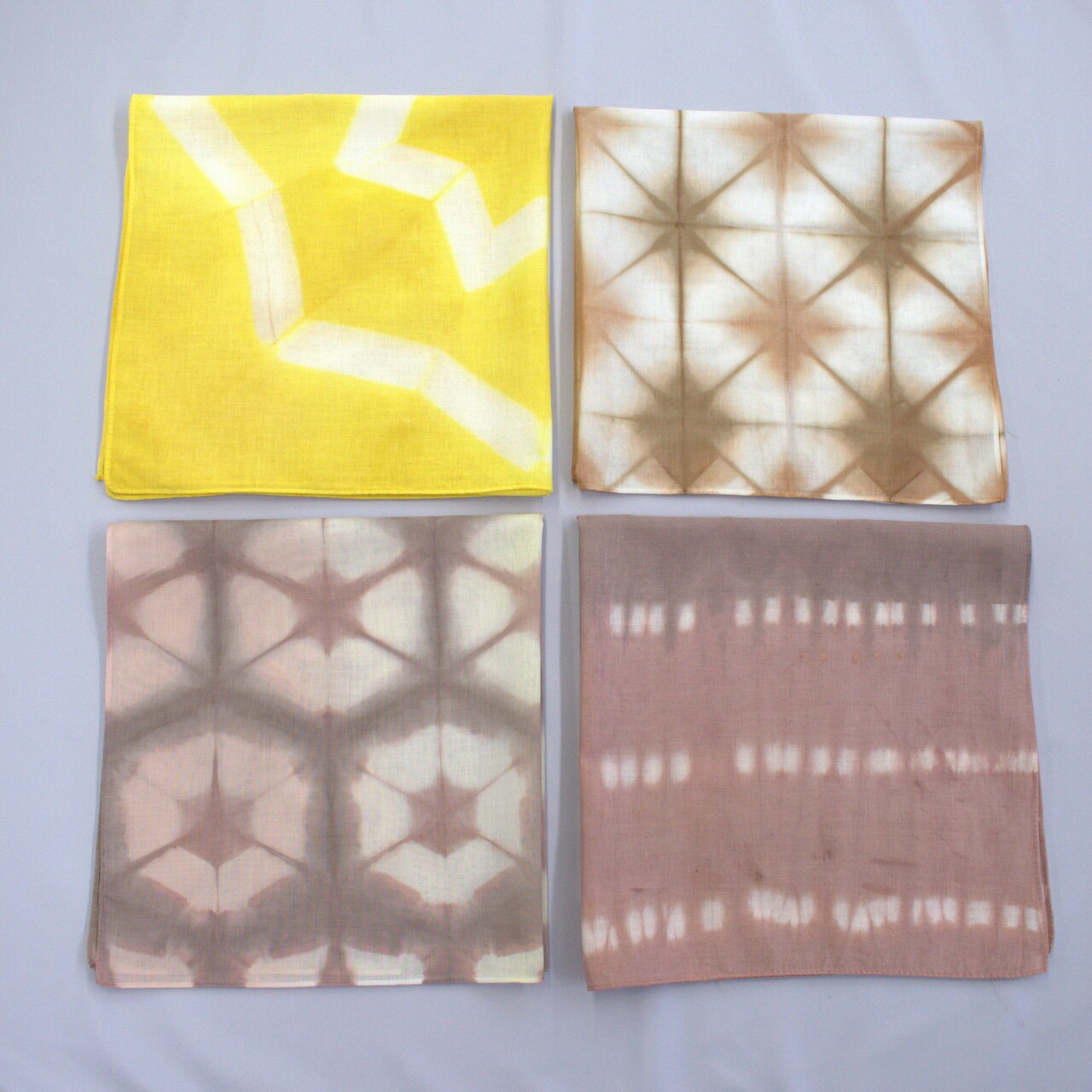 お家にある素材で染めてみよう｜3/8(日)【対象:16歳以上】