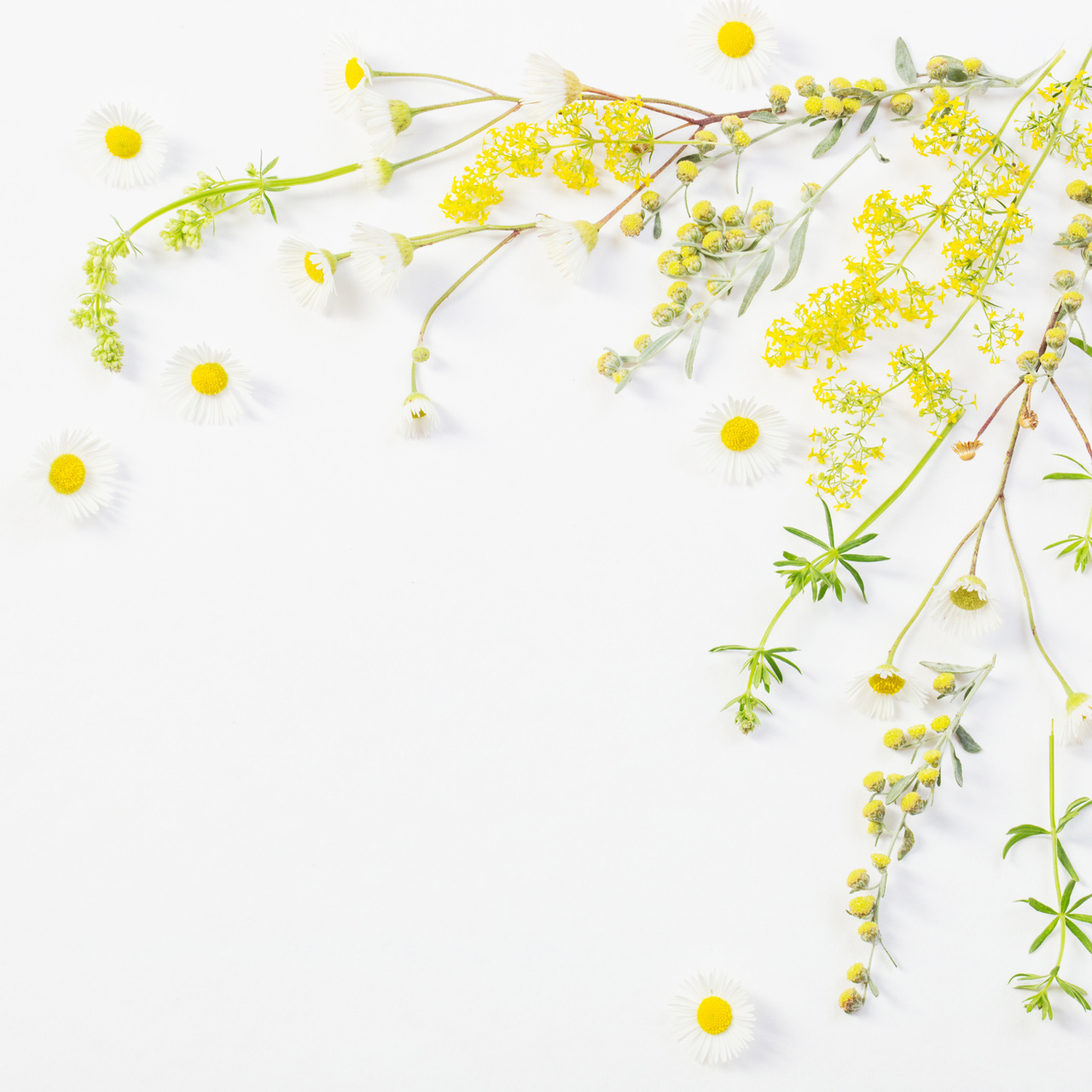 【思春期／精神科全般】初めてのご予約 60分  