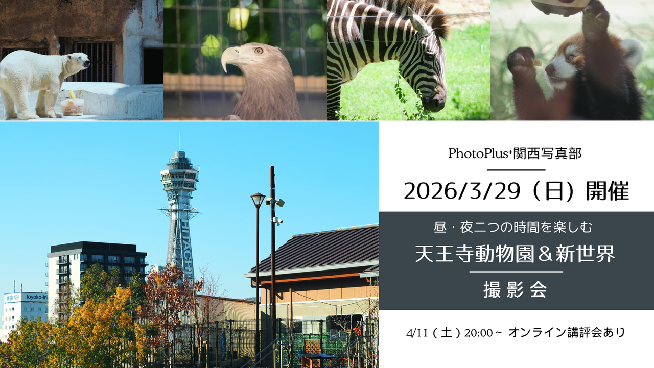 2026年3月29日(日)~天王寺動物園&新世界~撮影会(後日オンライン講評会)
