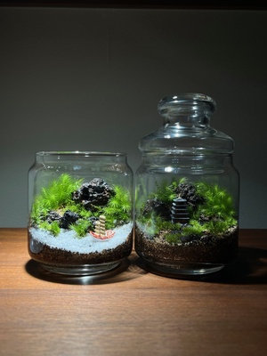 2026年 新春　国営平城宮跡歴史公園 平城宮いざない館　苔テラリウムワークショップ　