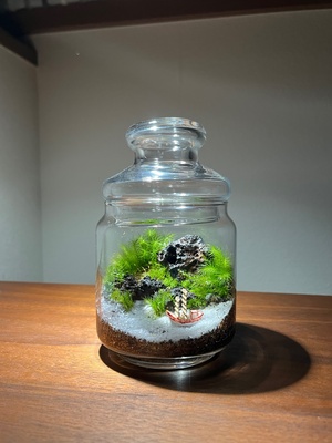 2026年 新春　国営平城宮跡歴史公園 平城宮いざない館　苔テラリウムワークショップ　