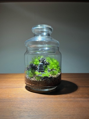 2026年 新春　国営平城宮跡歴史公園 平城宮いざない館　苔テラリウムワークショップ　