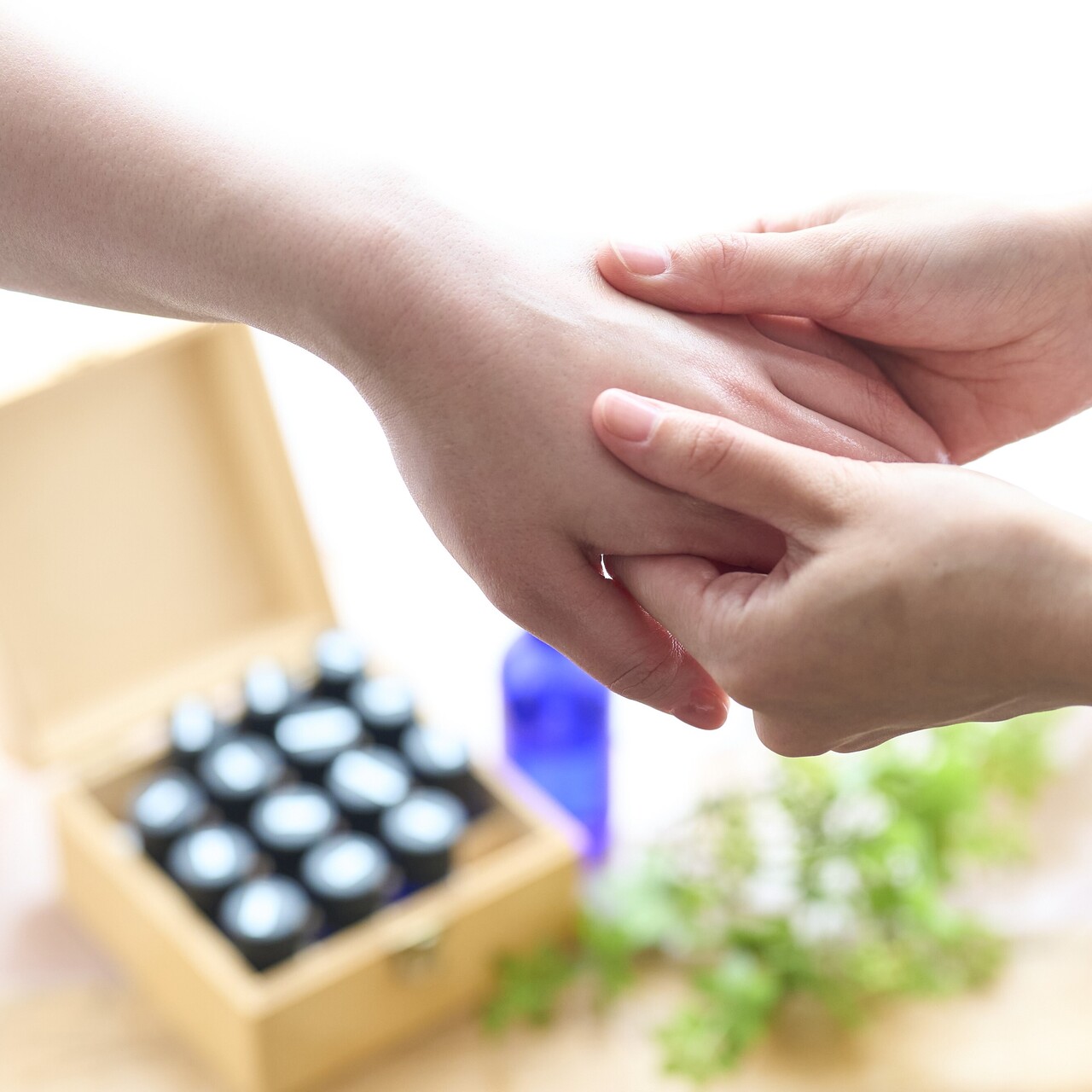 ＼3/1（日）梅まつり／ハンドスパ