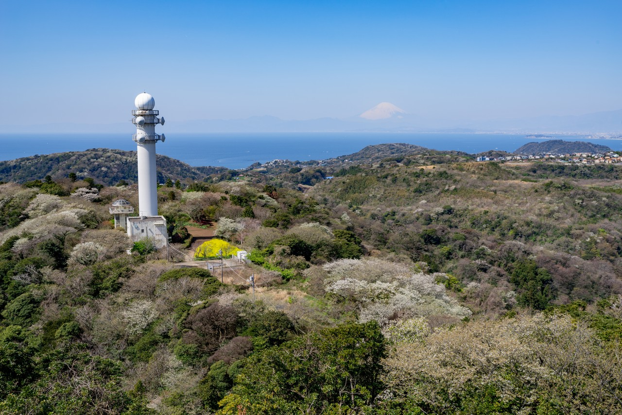 【女性予約】　3月20日(金祝)大楠山 