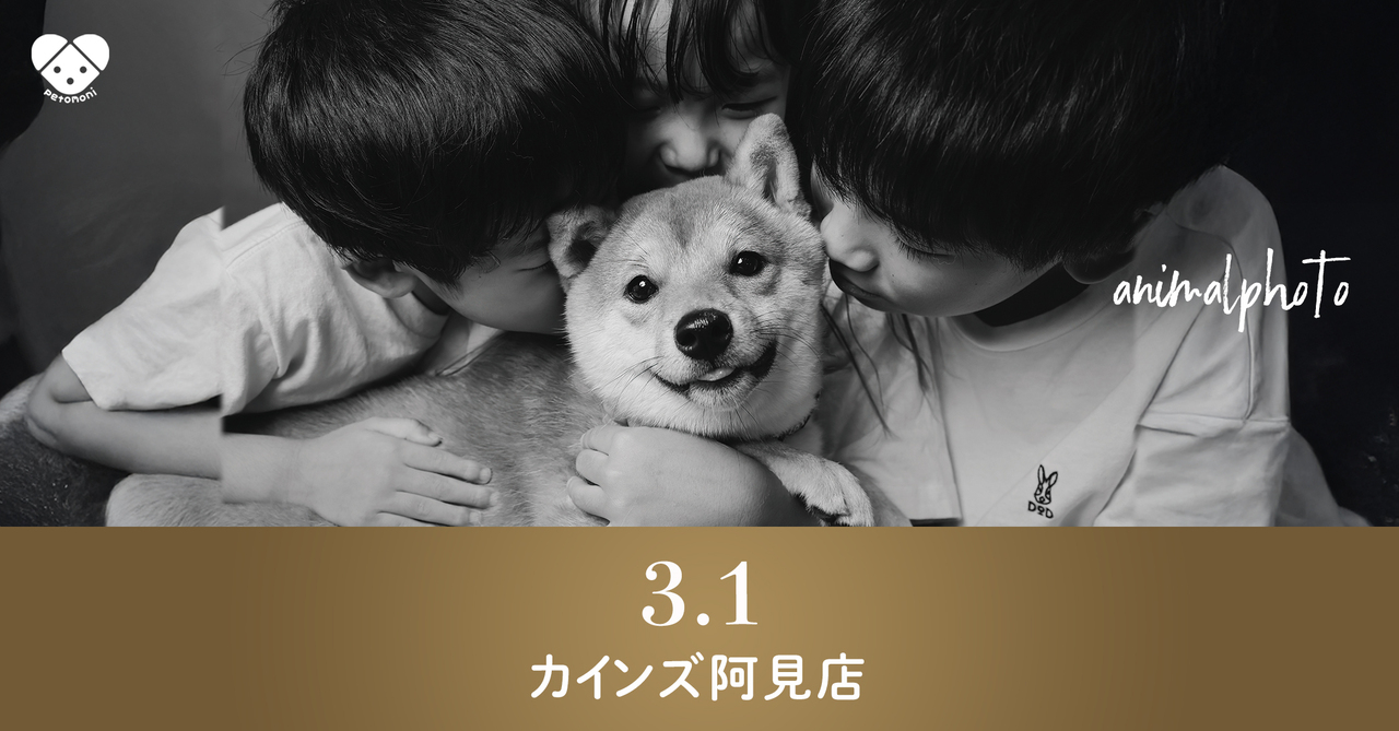 茨城県【カインズ阿見店】2026年3月1日（日）