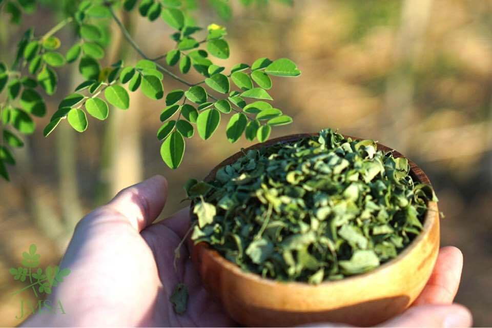 よもぎ蒸しORモリンガ蒸しORパーソナルレッスンORシンギングボウルトリートメント