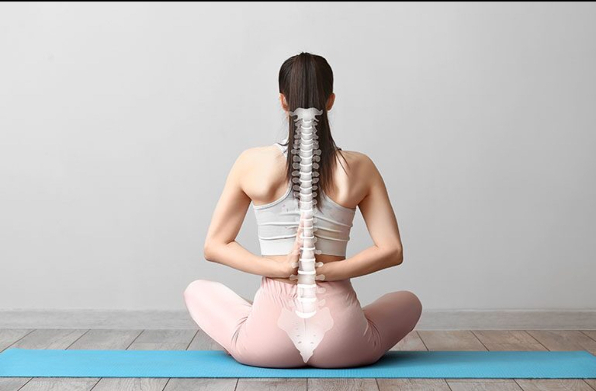 ヨガアライメントクラス(運動量★）