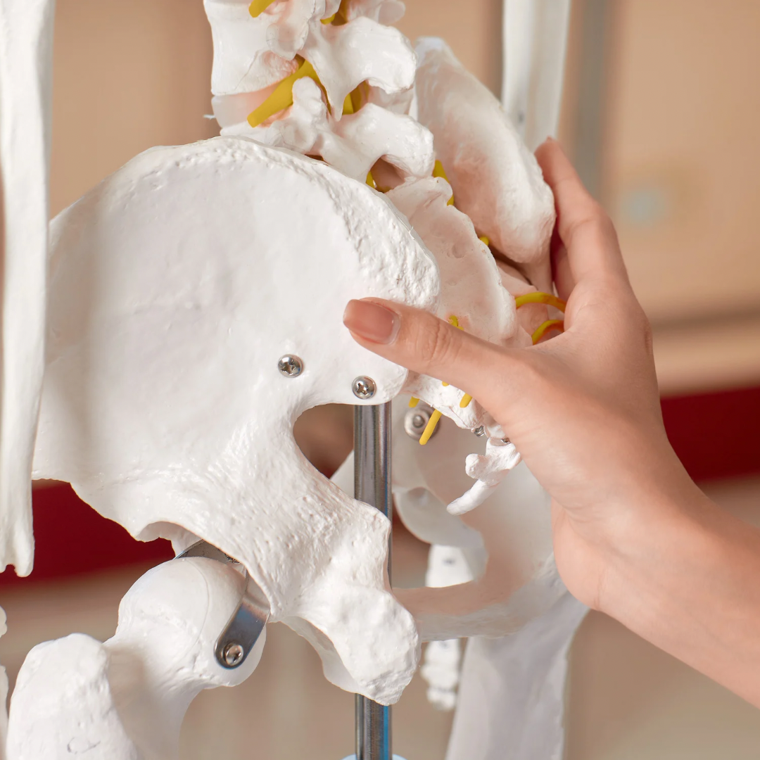 骨盤調整ヨガ★Chikako/60分