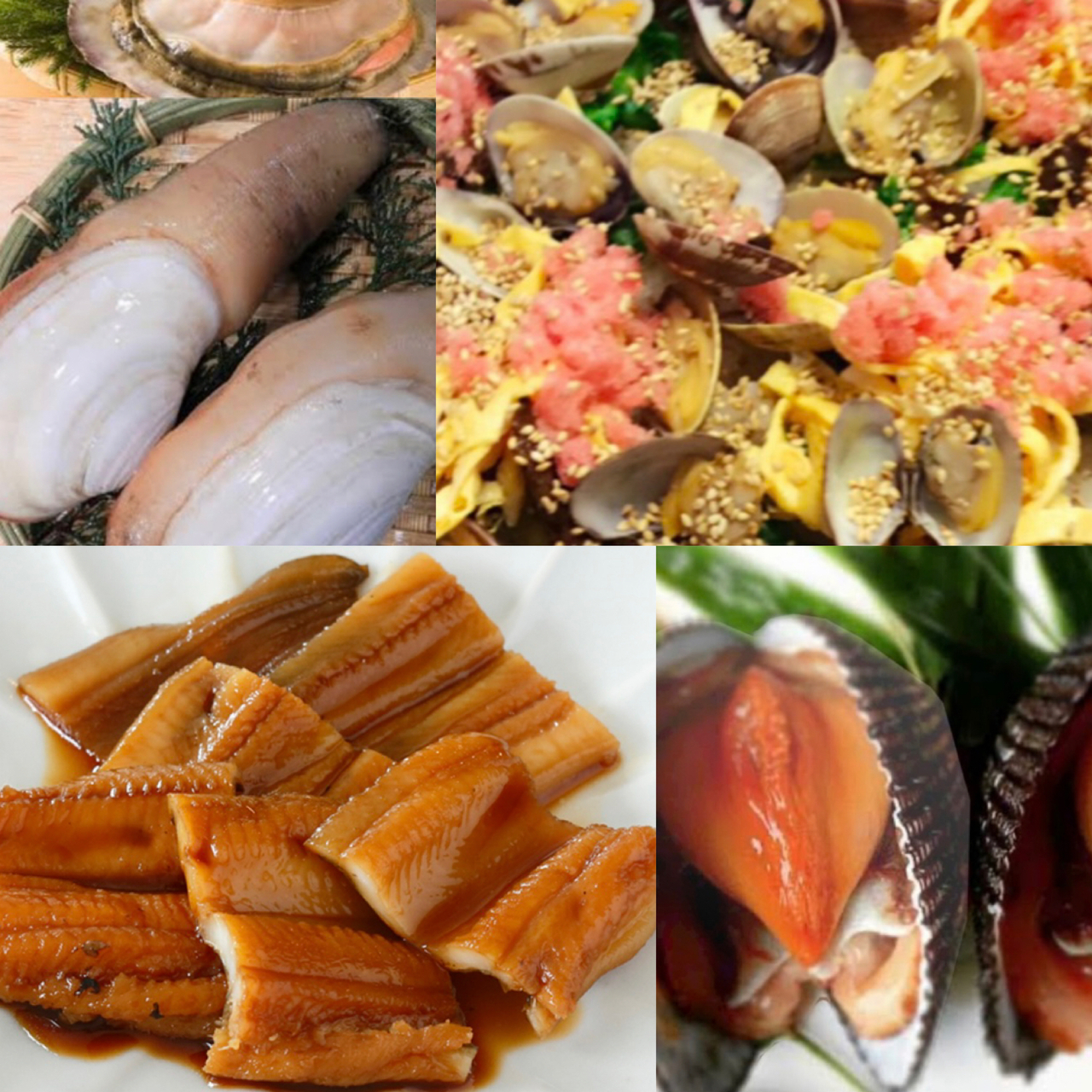 煮アナゴと貝を学ぶ！白みる貝、赤貝を学び、海鮮ちらし寿司を作ろう！