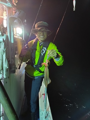 白イカ釣りシーズン2026【通常便】