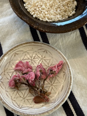 ＜贅沢味噌＞二倍麹の甘味噌仕込み会（桜の押し寿司と麹の発酵ランチ）