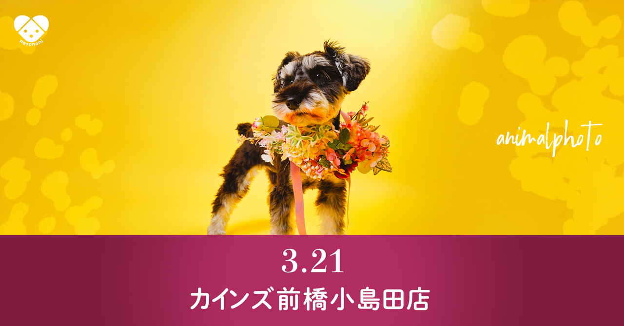 群馬県【カインズ前橋小島田店】2026年3月21日(土)