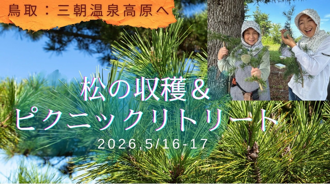 🌲鳥取・三朝温泉高原  松の収穫見学＆森のピクニックリトリート（1泊2日）