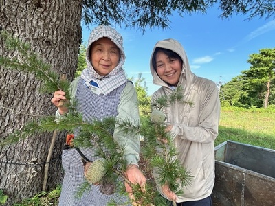 🌲鳥取・三朝温泉高原  松の収穫見学＆森のピクニックリトリート（1泊2日）