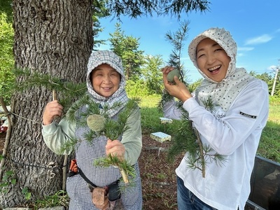 🌲鳥取・三朝温泉高原  松の収穫見学＆森のピクニックリトリート（1泊2日）
