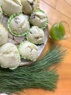 🌲鳥取・三朝温泉高原  松の収穫見学＆森のピクニックリトリート（1泊2日）