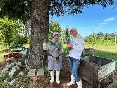 🌲鳥取・三朝温泉高原  松の収穫見学＆森のピクニックリトリート（1泊2日）