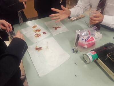 【播磨町　放課後理科クラブ】科学の力で　お菓子をつくろう！