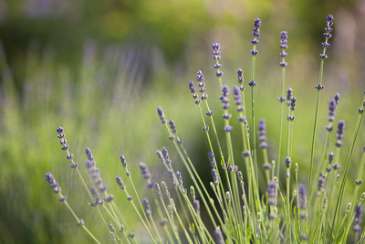 アロマフットケアはこちら