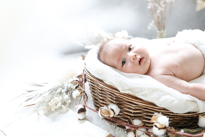 2月ニューボーン体験撮影会